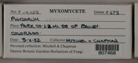 Image Associated With the Occurence